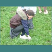 Litter 07 12.jpg